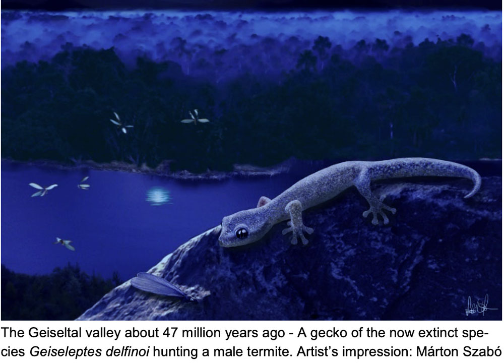 The gecko, Geiseleptes delfinoi is named after the Geiseltal region