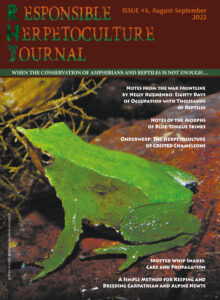 RH Journal #4