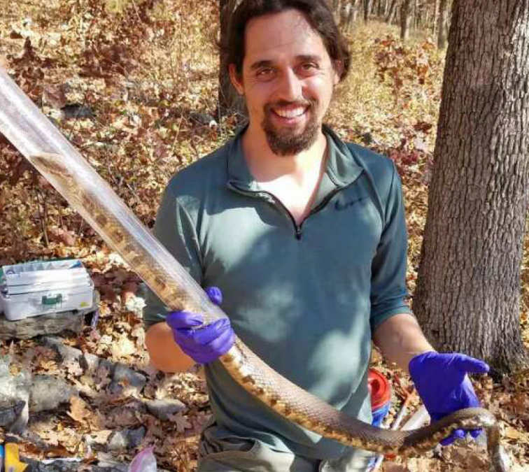 Adrian Macedo works with a northern cottonmouth snakes