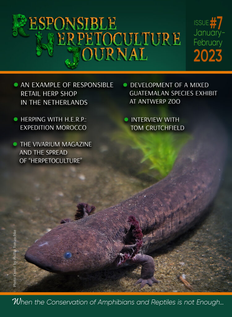 RH Journal #7