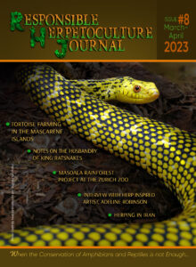 RH Journal #8
