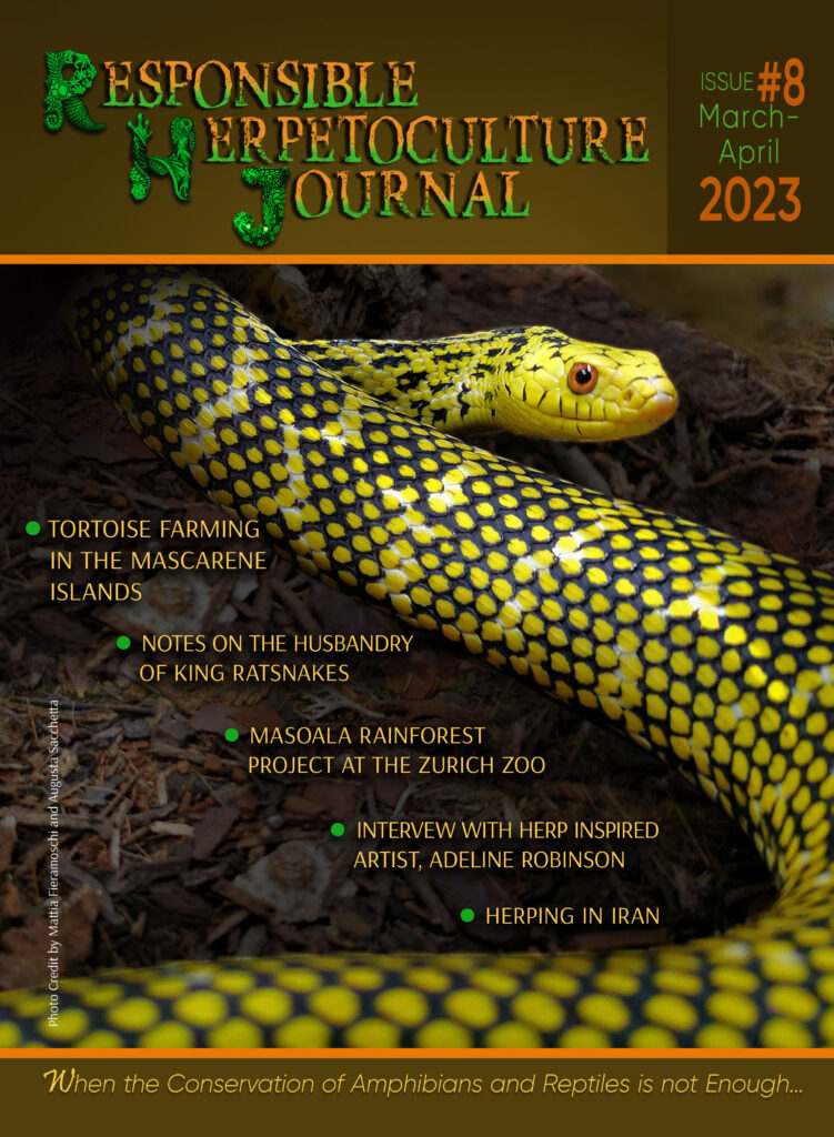RH Journal #8