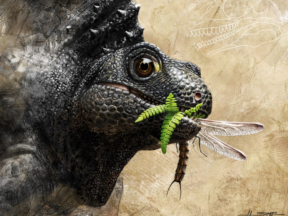 Ancient reptile-like mammal ancestor