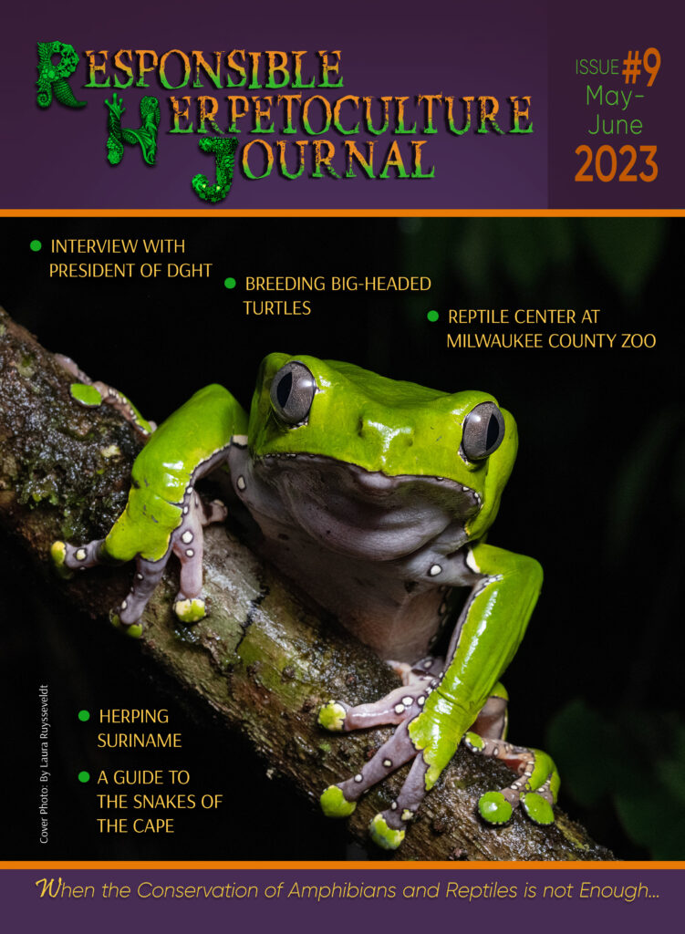 RH Journal #9