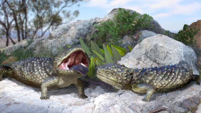 Extinct giant shingleback skink