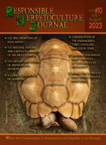 RH Journal #10