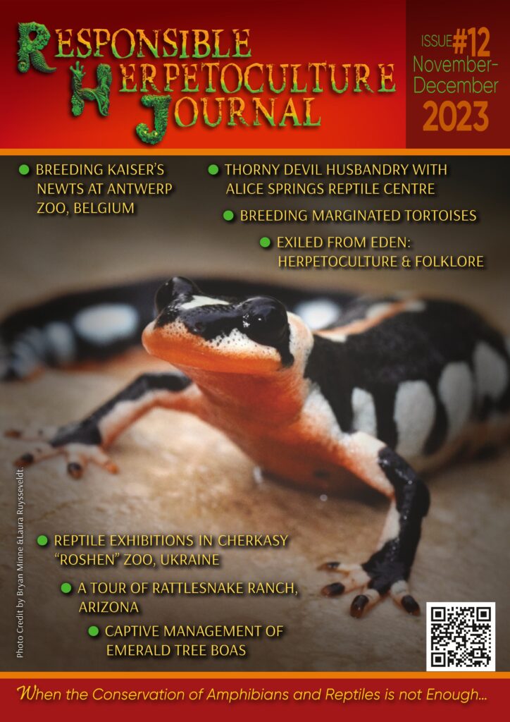 RH Journal #12