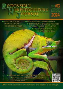 RH Journal #13