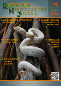 RH Journal #17