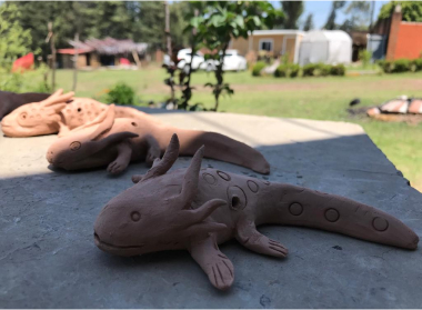 Axolotl Museum and Amphibian Conservation Center