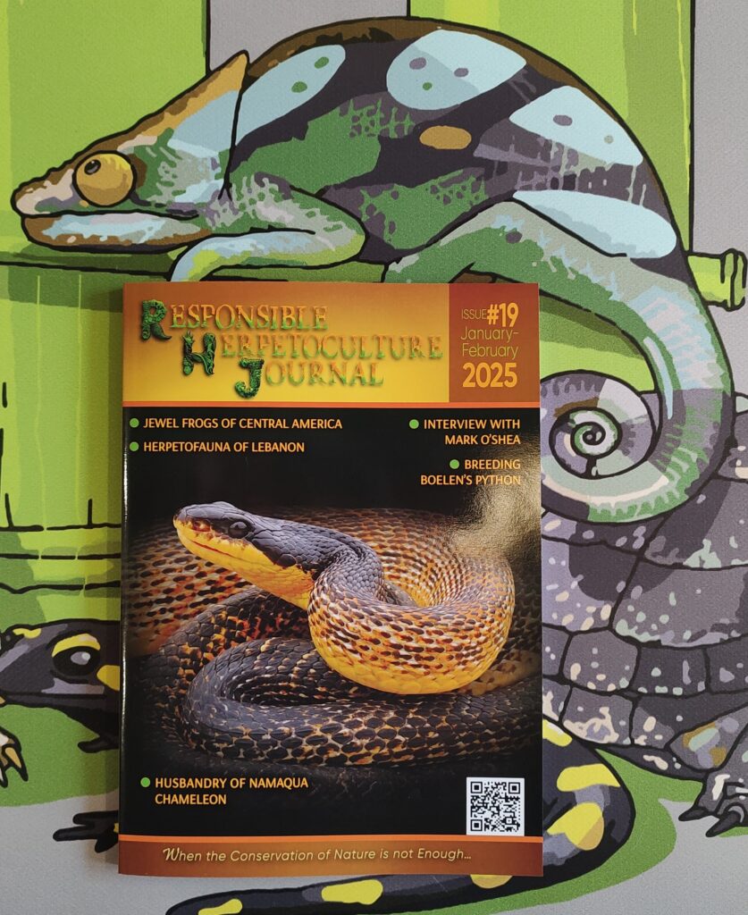 RH Journal #19 printed version