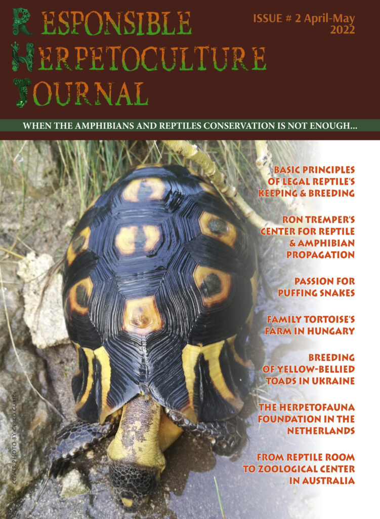 RH Journal #2