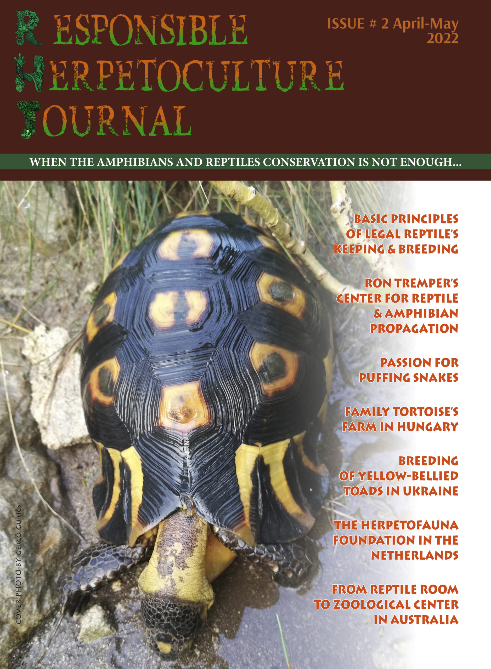 RH Journal #2