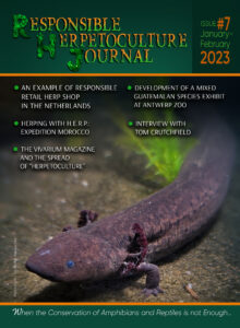 RH Journal #7