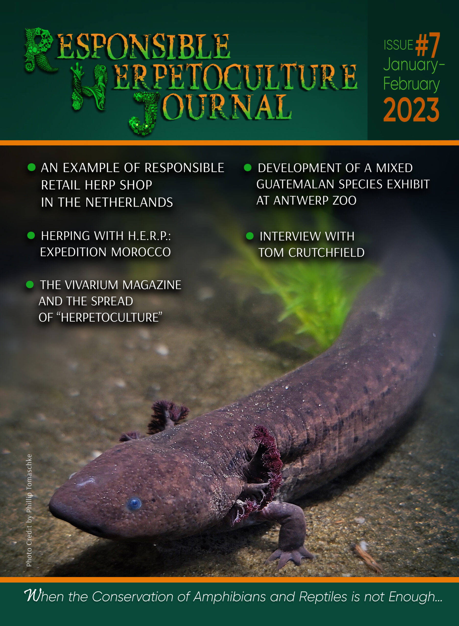 RH Journal #7