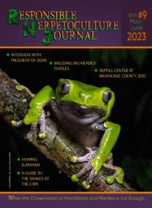 RH Journal #9