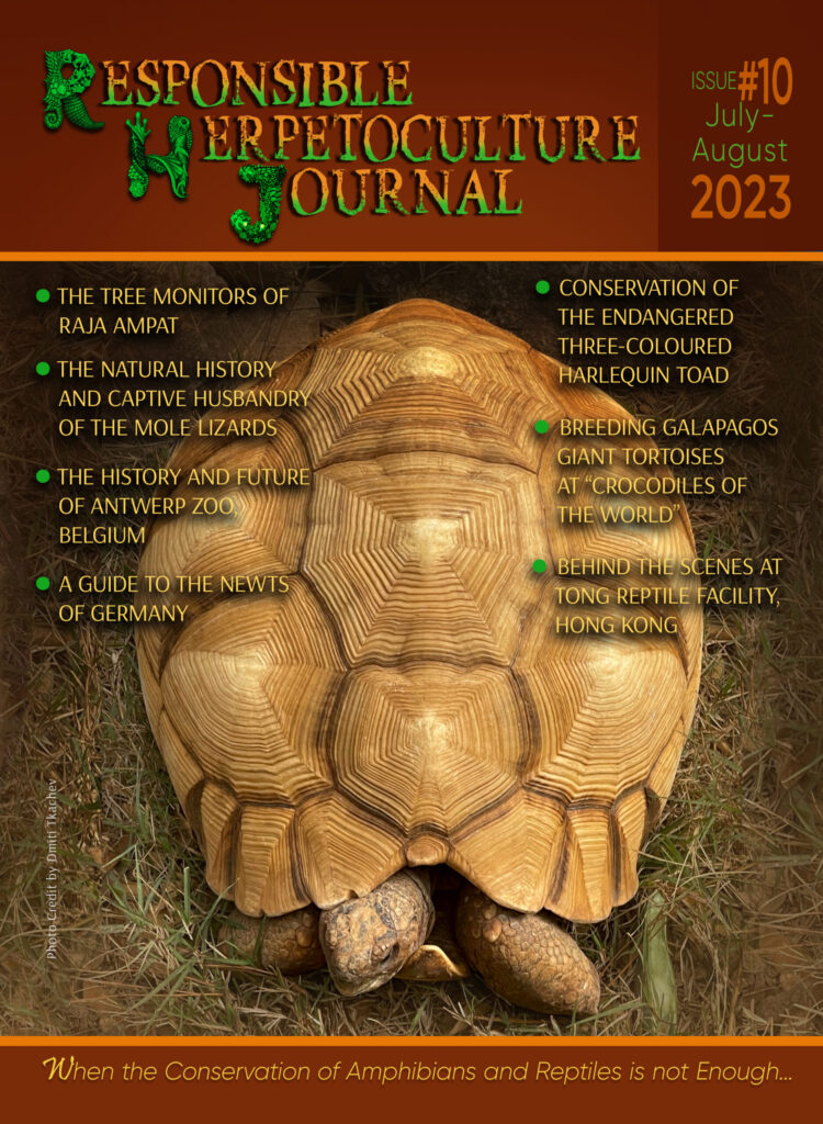 RH Journal #10