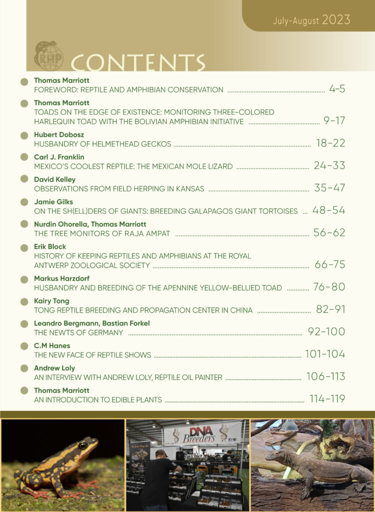 RH Journal #10