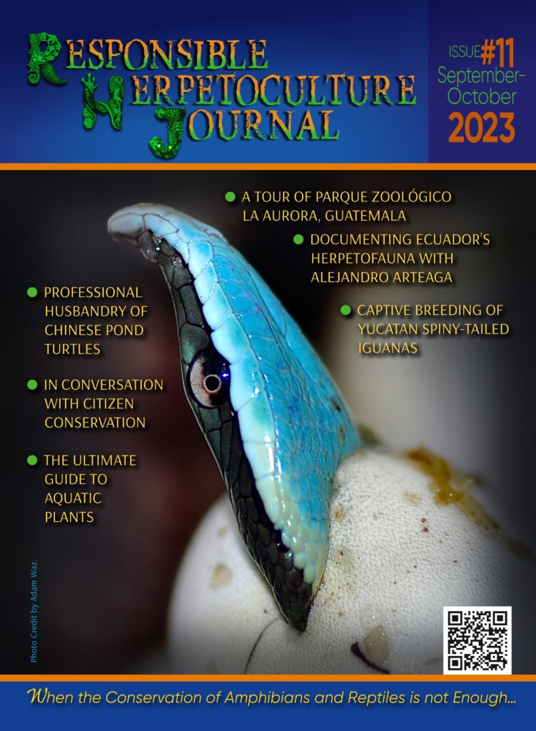 RH Journal #11