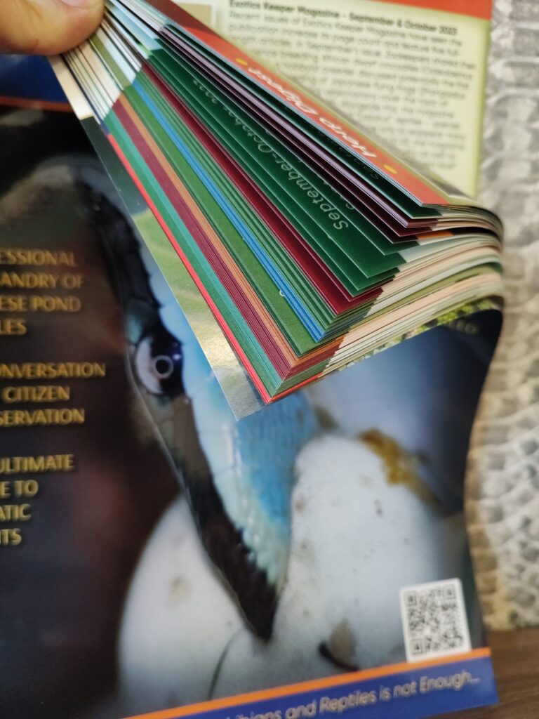 RH Journal #11 printed version