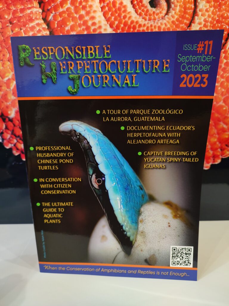 RH Journal #11 printed version