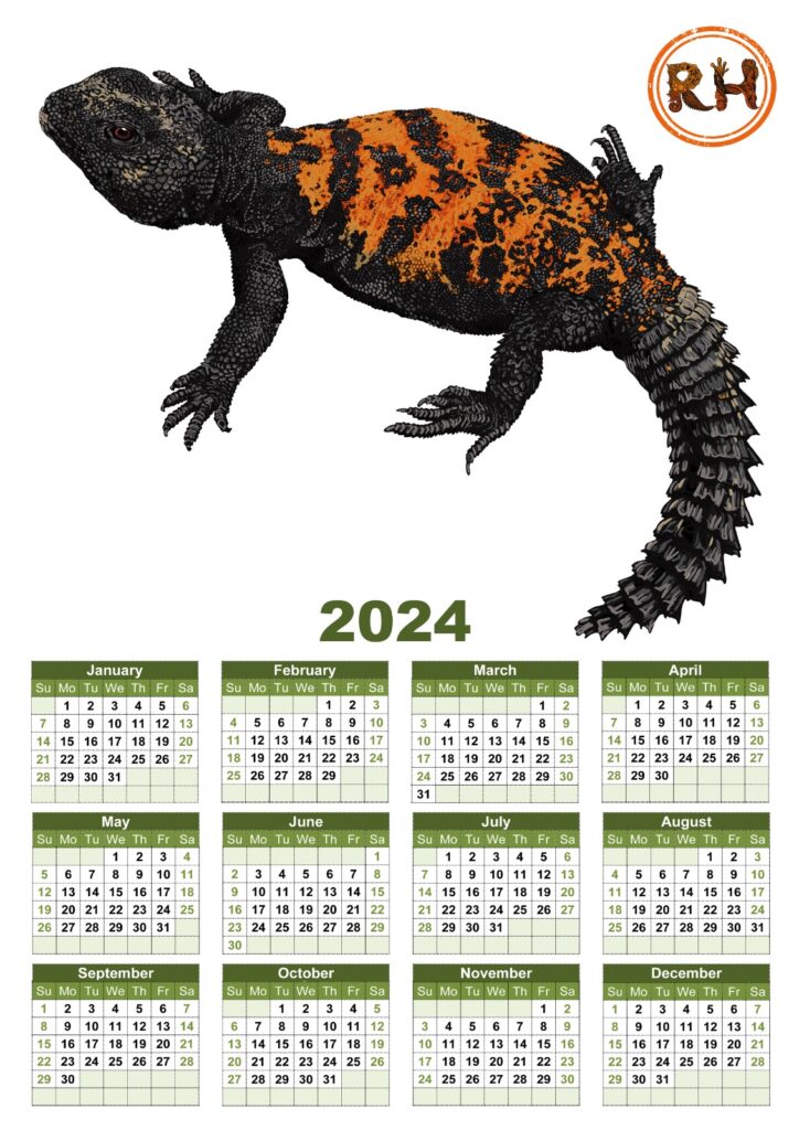 Responsible Herpetoculture Calendar 2024 "Uromastyx"