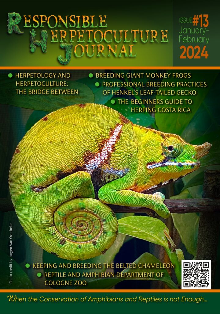 RH Journal #13.