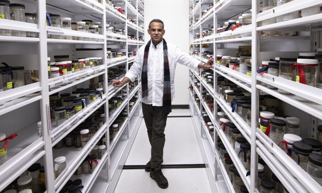 D. Biju is an explorer of a real amphibian hotspot, which is the Indian subcontinent.