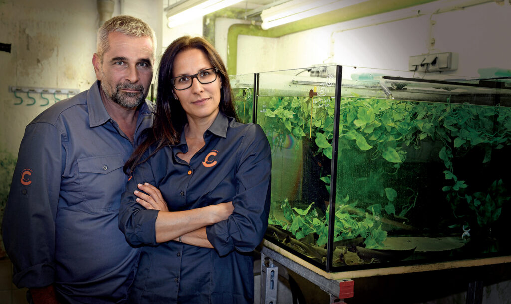 Interview with Citizen Conservation