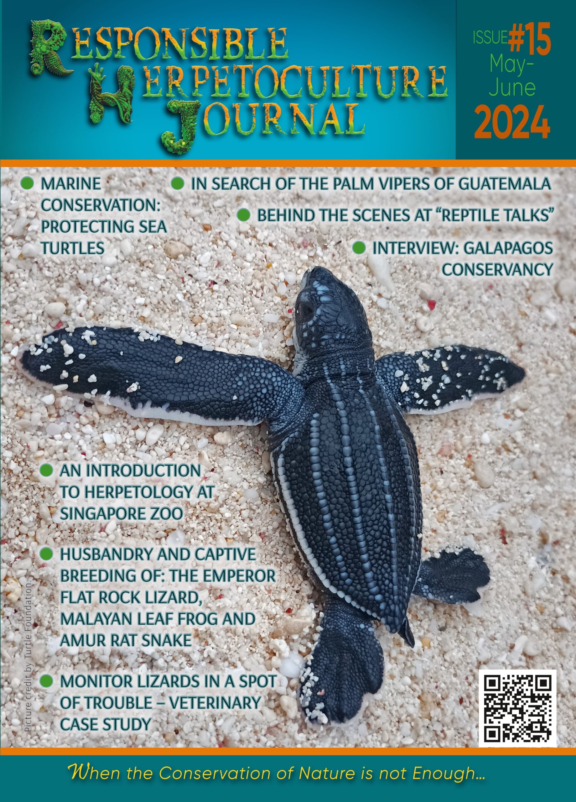 RH Journal #15