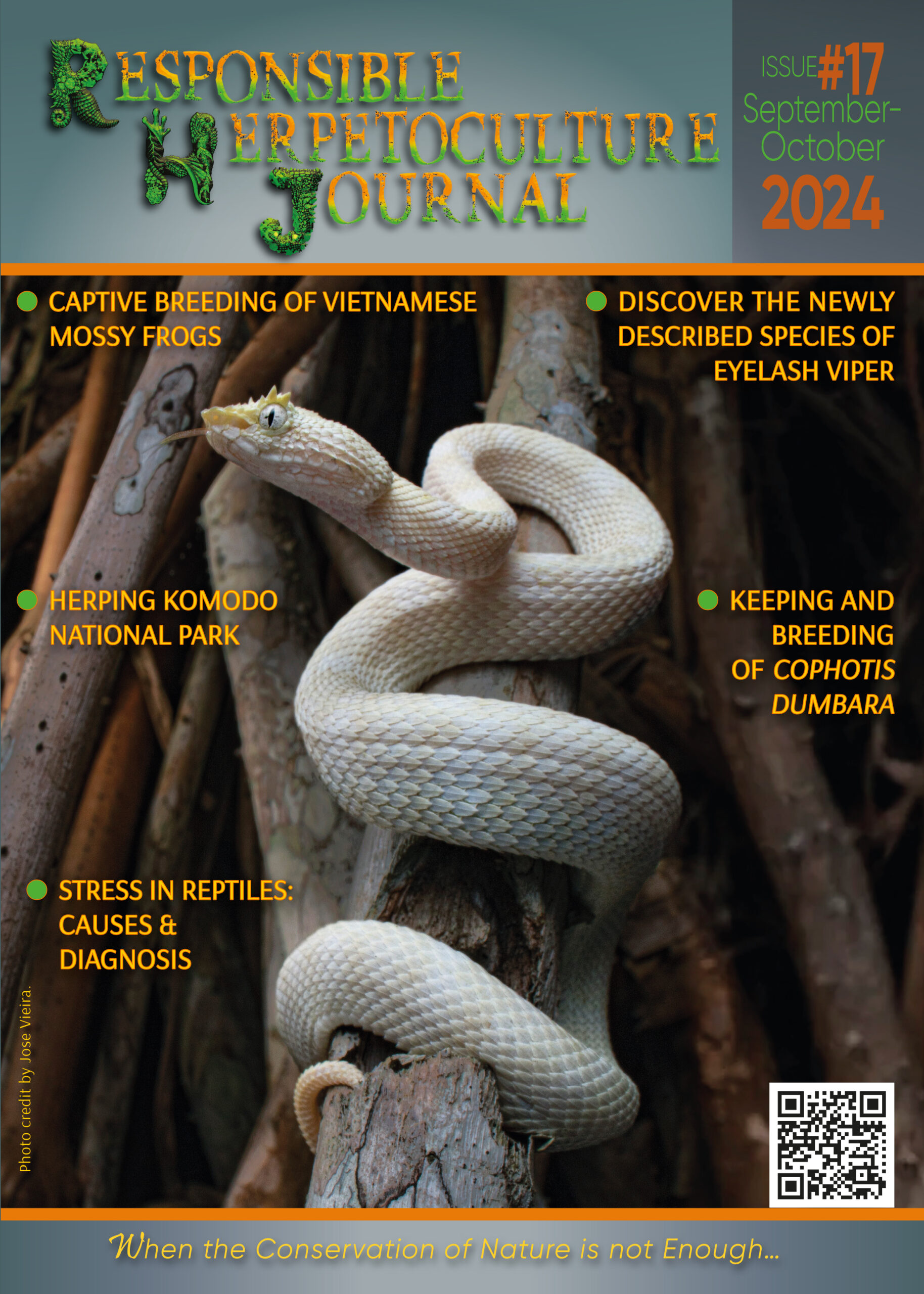 RH Journal #17