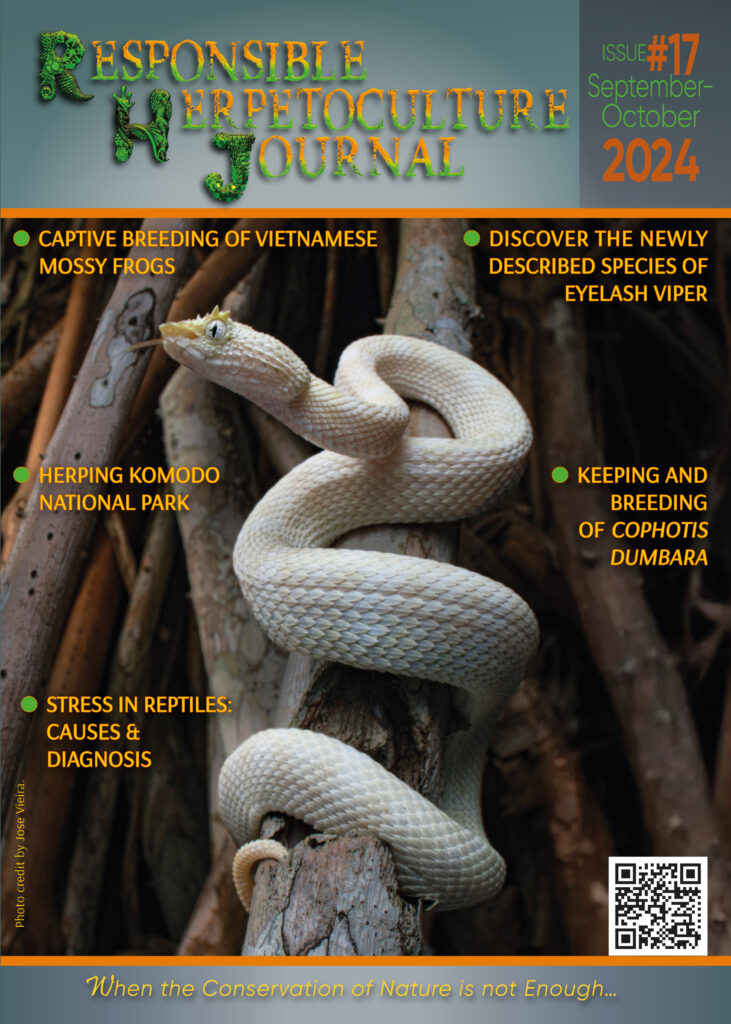 RH Journal #17