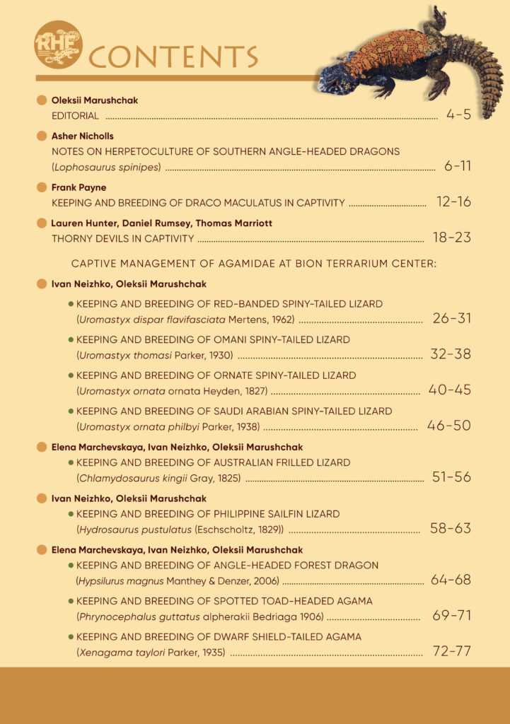 Agamidae lizards Guide from RHF