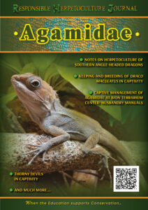 Agamidae lizards Guide from RHF