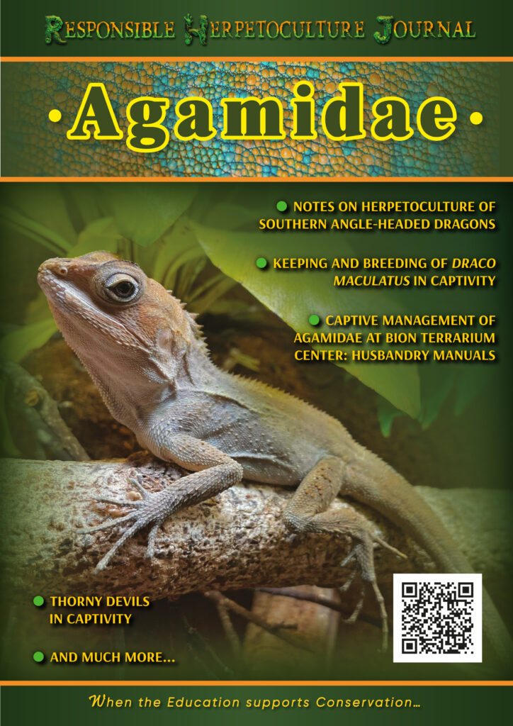 Agamidae lizards Guide from RHF