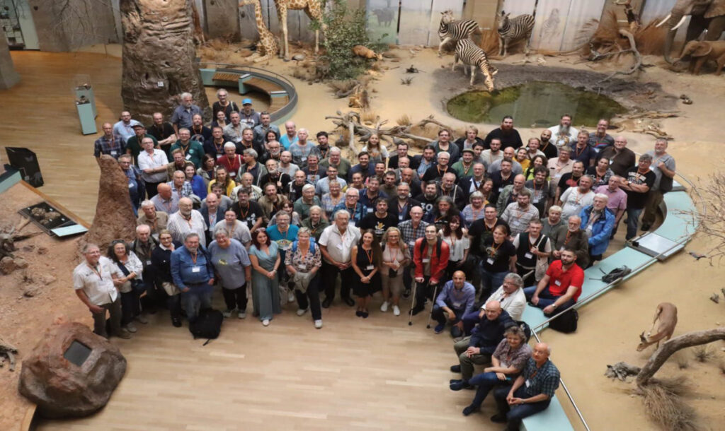 Overview from DGHT conference 2024
