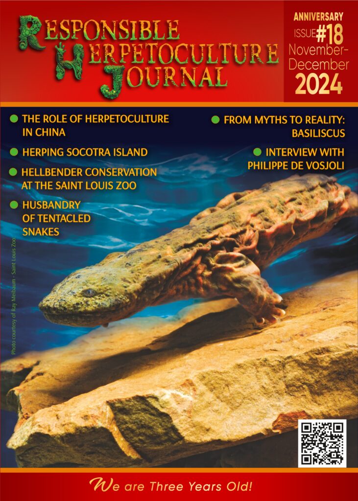 RH Journal #18 (Nov.-Dec. 2024)