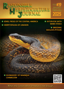 RH Journal #19