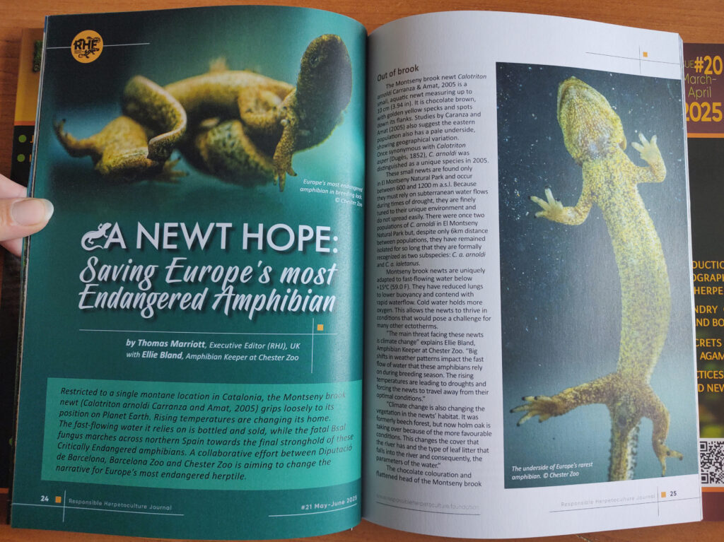 RH Journal #21 printed version