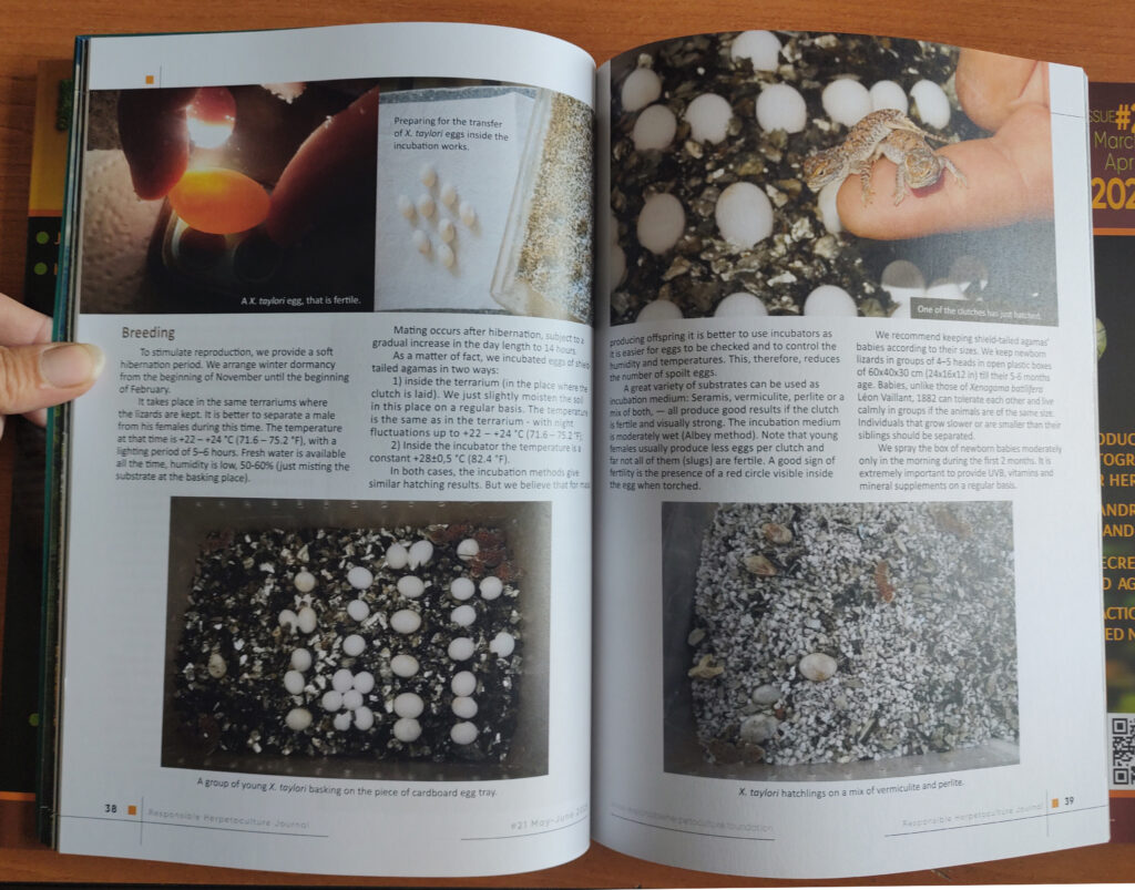 RH Journal #21 printed version