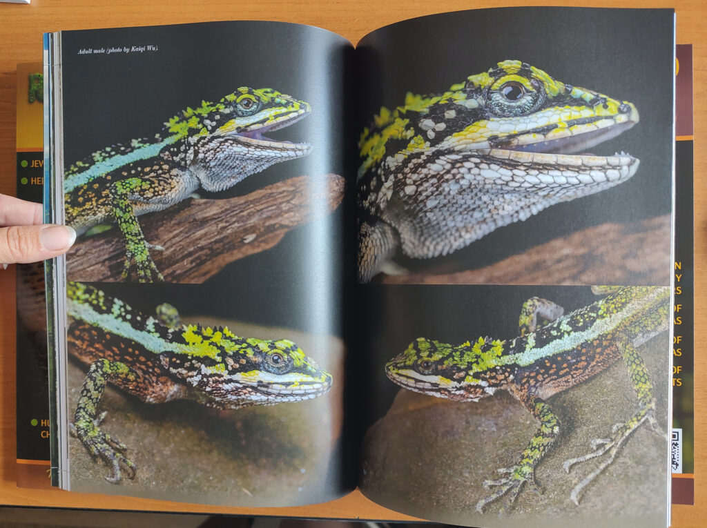 RH Journal #21 printed version