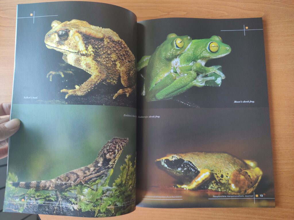 RH Journal #22 printed version