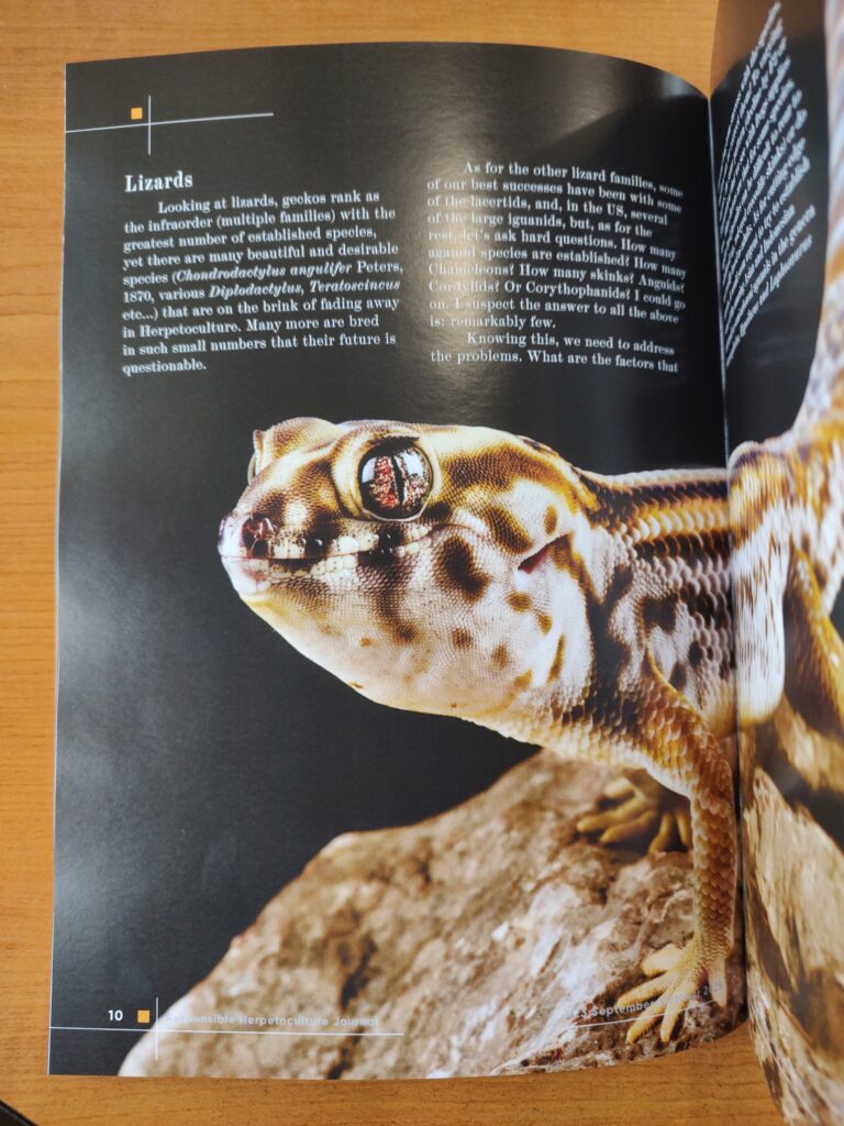 RH Journal #23 printed version