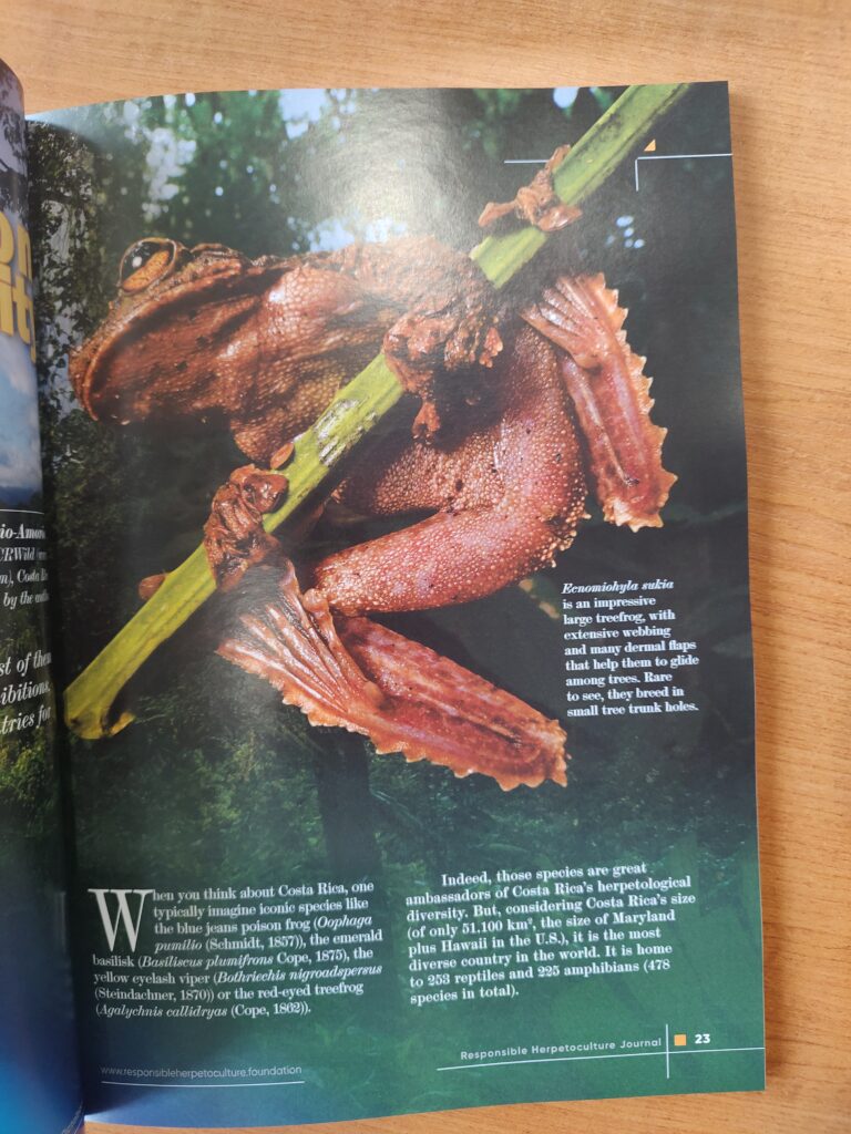 RH Journal #23 printed version
