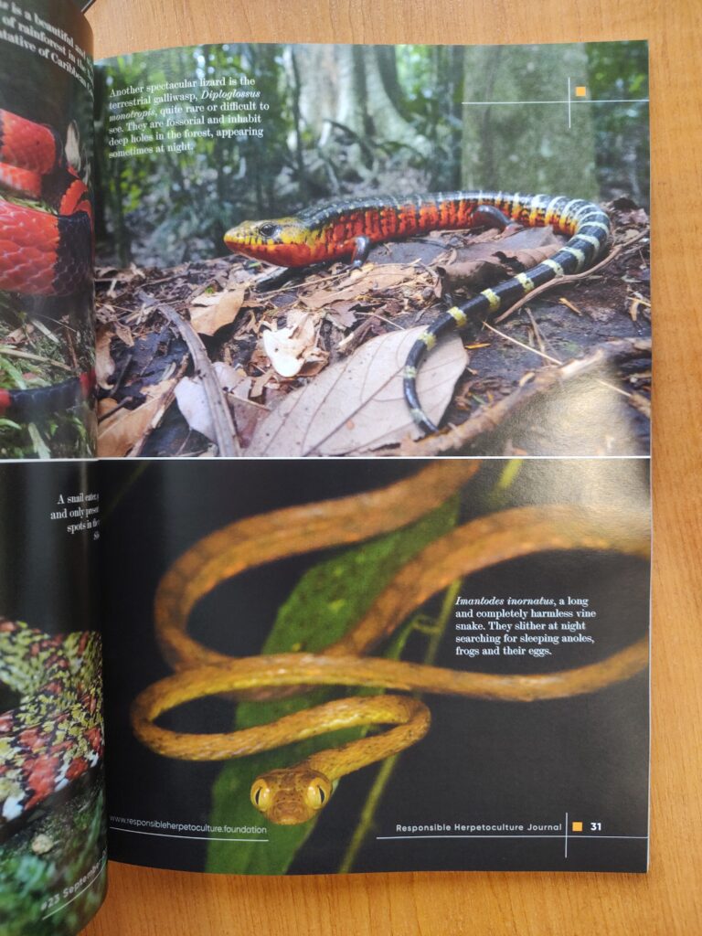 RH Journal #23 printed version