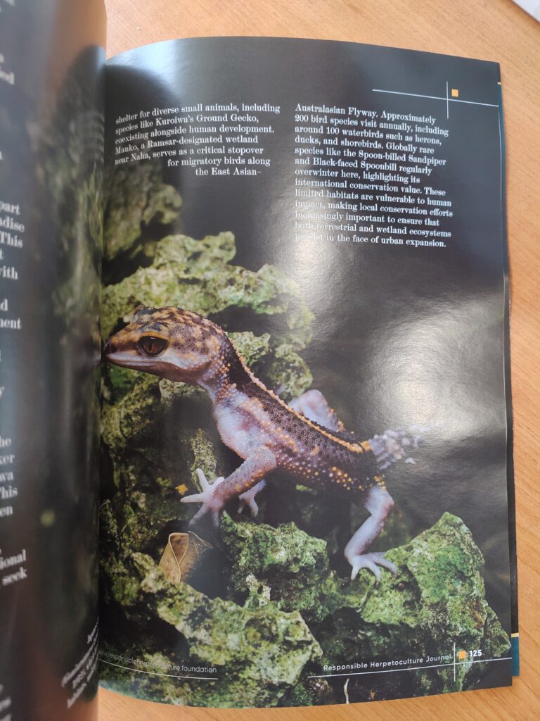 RH Journal #23 printed version