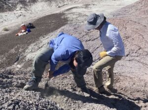 Tuning Into the Past: How Fossilized Bones Reveal the Auditory World of Early Reptiles