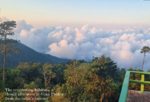 HERPING IN CUBA: A G AT E WAY TO CARIBBEAN BIODIVERSITY