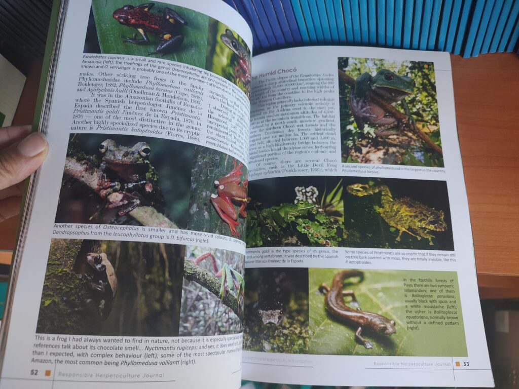 RH Journal #27 printed version
